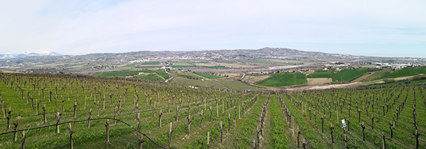 Veduta sulle Colline Teramane