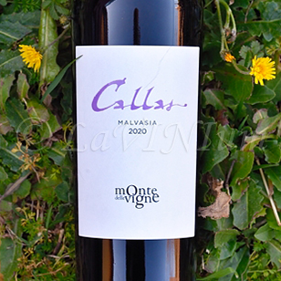Colli di Parma Callas Malvasia 2020 Monte delle Vigne