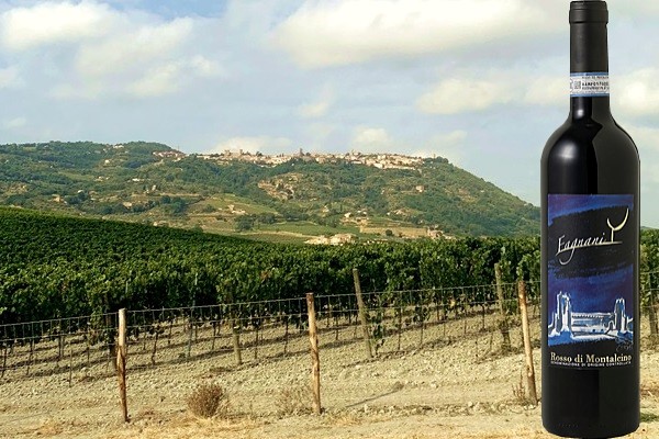 Rosso di Montalcino 2019 Fagnani