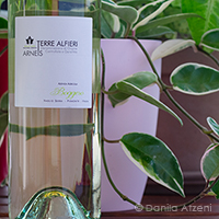 Terre Alfieri Arneis 2020 Boggero