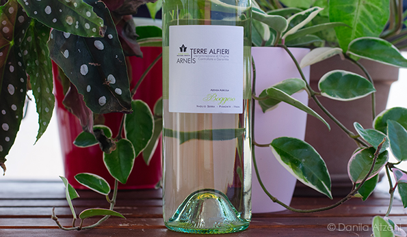 Terre Alfieri Arneis 2020 Boggero