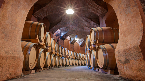 cantina Marchesi Alfieri