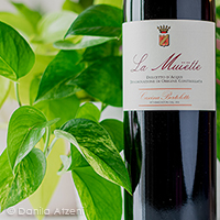 Dolcetto d'Acqui La Muiette 2019 Cascina Bertolotto