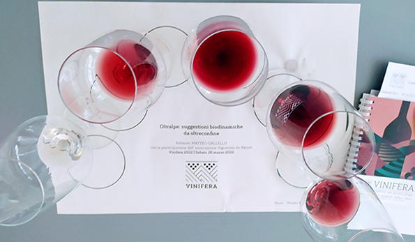 Suggestioni biodinamiche da oltreconfine