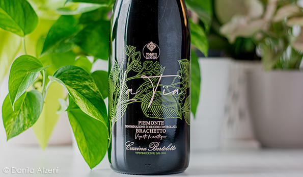 Piemonte Brachetto Secco La Tia Cascina Bertolotto