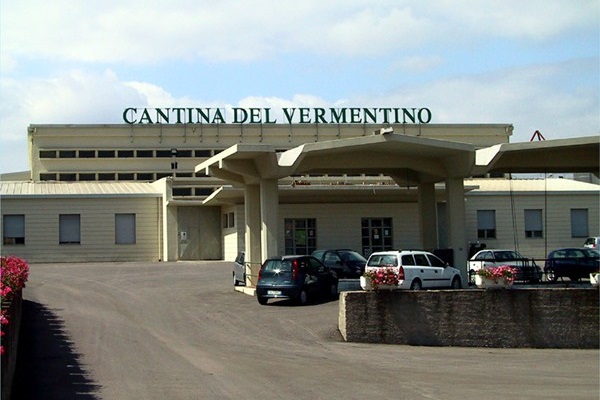 Cantina Sociale del Vermentino di Monti