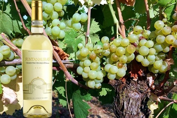 Vermentino di Gallura DOCG ”Funtanaliras” 2020