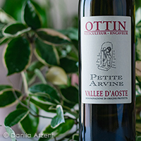 Valle d'Aosta Petite Arvine 2020 Ottin