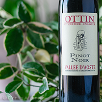 Vallée d'Aoste Pinot Noir 2019 Ottin