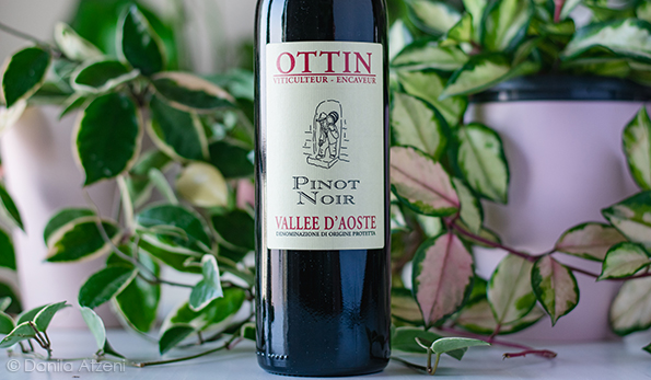 Vallée d’Aoste Pinot Noir 2019 Ottin