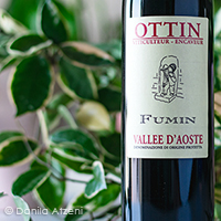 Vallée d'Aoste Fumin 2019 Ottin