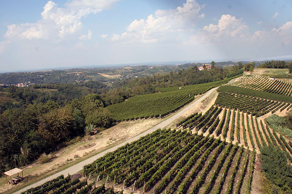 Il cru I Tre Vescovi