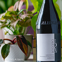 Albugnano Superiore 2017 Roggero