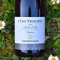 Barbera d'Asti Superiore I Tre Vescovi 2019 Vinchio Vaglio
