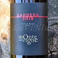 Colli di Parma Barbera 2019 Monte delle Vigne