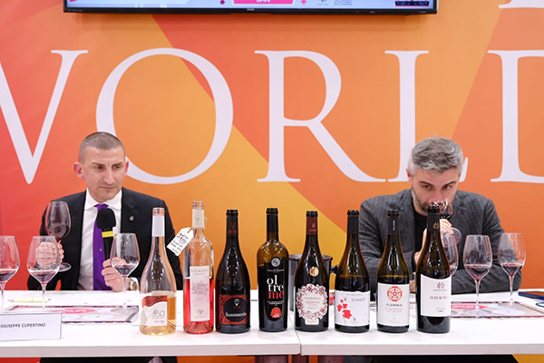 I vini in degustazione