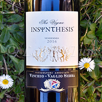 Barbera d'Asti Superiore Insyntesis Sei Vigne 2016 Vinchio Vaglio