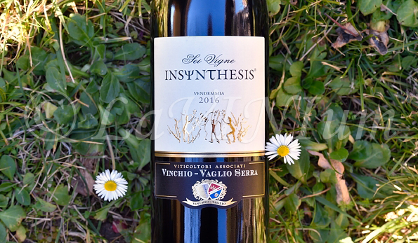 Barbera d’Asti Superiore Insψnthesis Sei Vigne 2016 Vinchio Vaglio