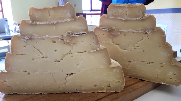 Il Montebore invecchiato 16 mesi