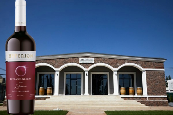 Hyperion Fetească Neagră 2016 The Iconic Estate