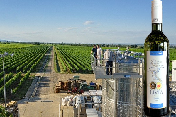 Șarbă ”Livia” 2018 Crama Gîrboiu