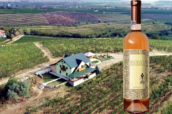 Busuioaca 2018 Crama Basilescu