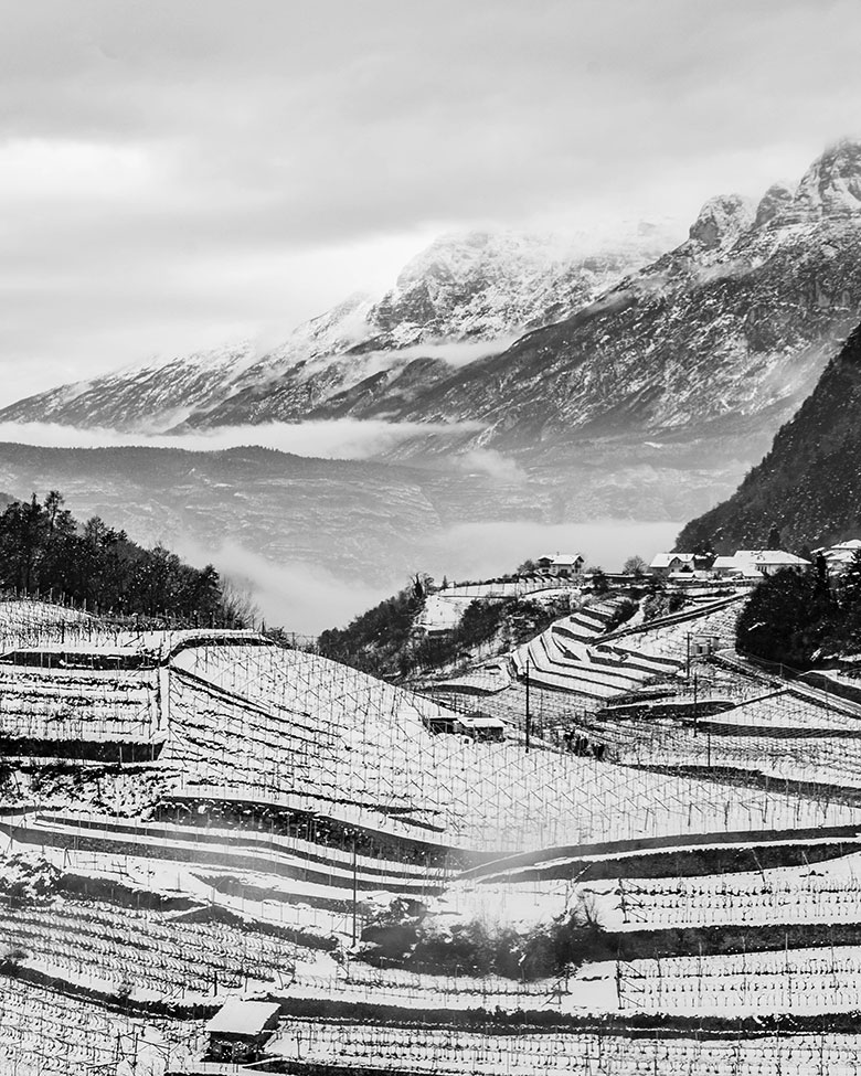Vigne di Cembra, Cantina di Montagna
