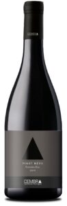 Trentino Pinot Nero 2019