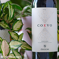 Coevo 2015 Cecchi