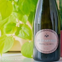 Franciacorta Brut Rosé Monique Lo Sparviere