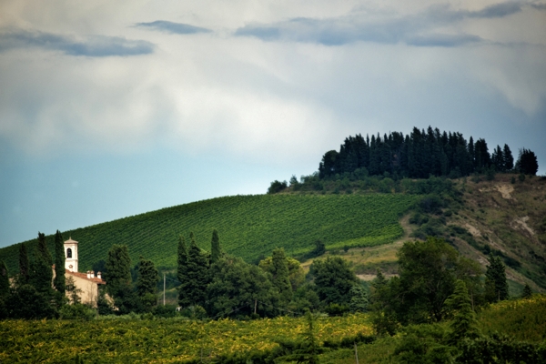 Marzeno. Chiesa di San Giorgio in Ceparano