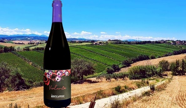 Violante Rosso 2021 Montecappone