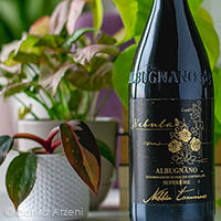 Albugnano Superiore Nebula 2017 Nebbia Tommaso