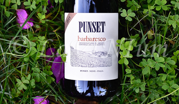Barbaresco Basarin Riserva 2015 Punset