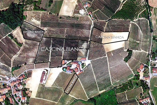 vigneti cascina nuova