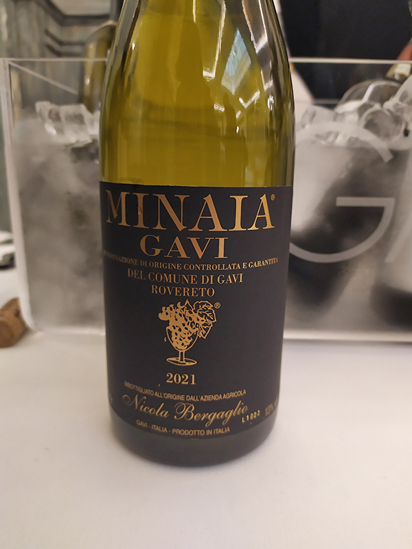 Gavi Minaia 2021