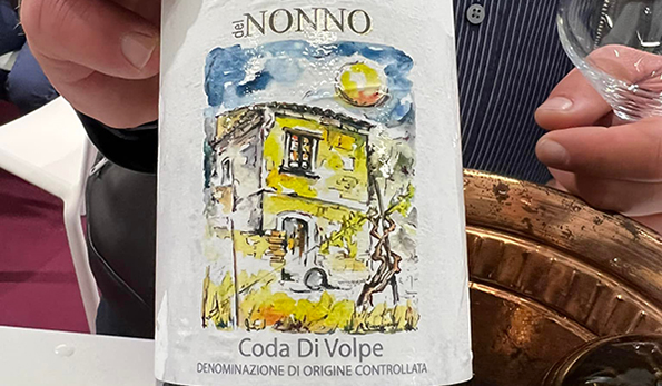 Irpinia Coda di Volpe del Nonno 2020 Cantine dell'Angelo