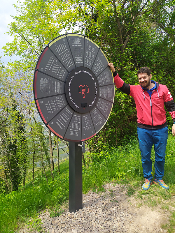 La ruota dei vini di montagna