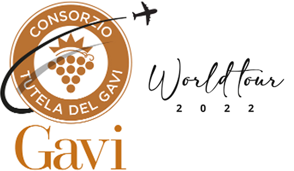 logo Gavi World Tour 2022