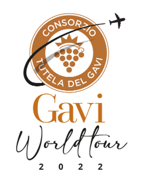 logo Gavi World Tour 2022