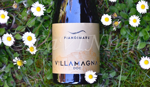 Villamagna 2019 Piandimare