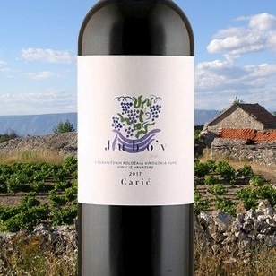 Jubo’v 2017 Vina Carić