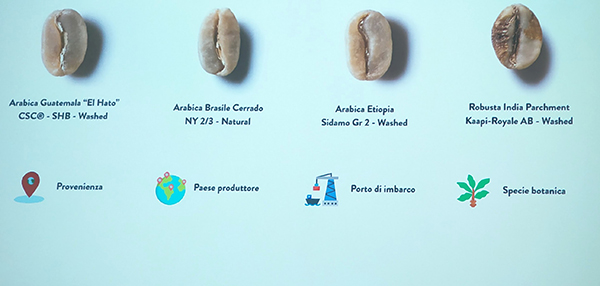 Classificazione del caffè