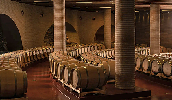 Cantina Domodimonti