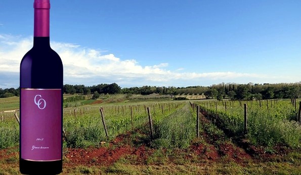 Gran Teran 2017 Coronica