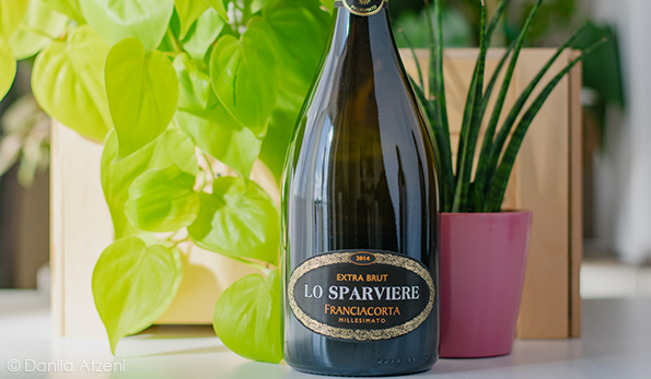 Franciacorta Extra Brut Millesimato 2014 Lo Sparviere