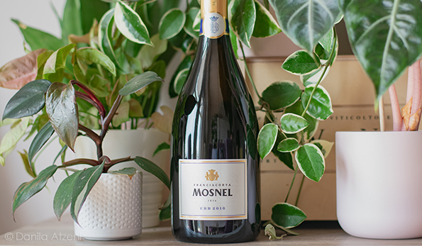 Franciacorta Extra Brut Millesimato EBB 2016 Mosnel