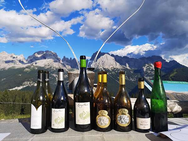 Vini da Nosiola di Cantina Toblino