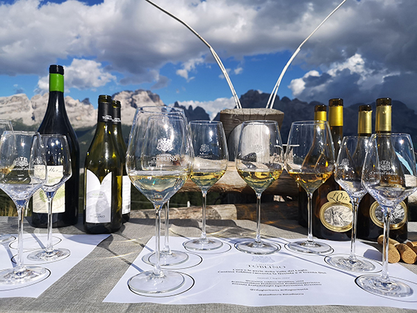 Vini da Nosiola di Cantina Toblino