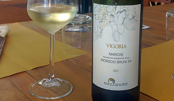 Incrocio Bruni 54 Vigoria 2021 Cantina Mezzanotte